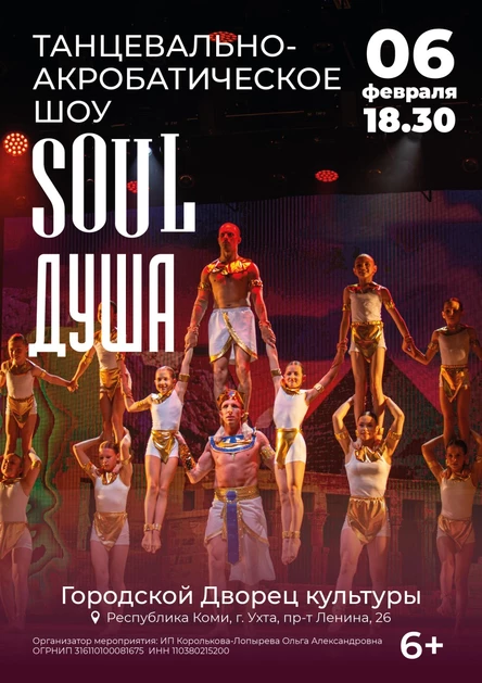 Танцевально-Акробатическое шоу «Soul»