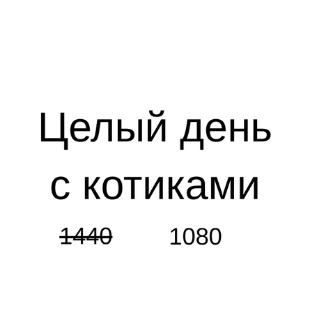 Посещение Котокафе Котики и люди весь день