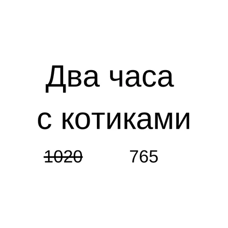 Посещение Котокафе Котики и люди (два часа)