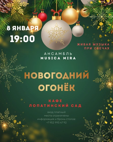 Новогодний огонёк