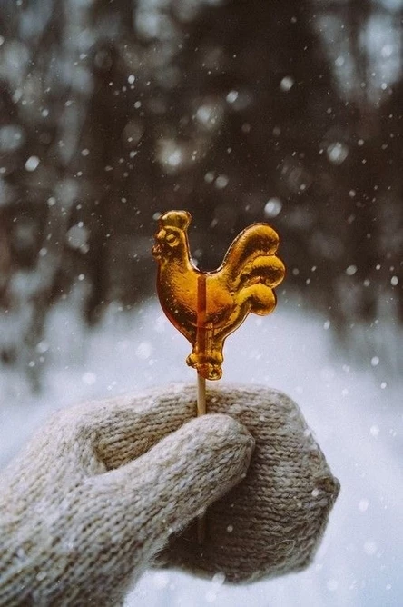 “РАЗГУЛЯЙ с Параллелью 56»