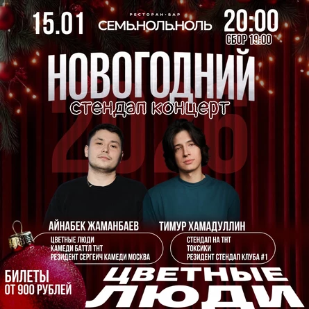Новогодний стендап концерт 15 января Тимур Хамадуллин