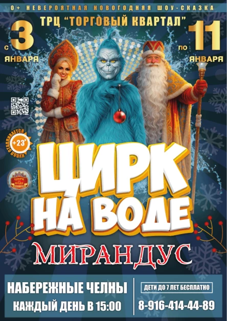 НОВОГОДНЯЯ ШОУ-СКАЗКА