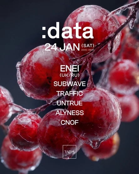 :data | ENEI