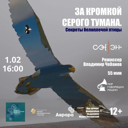 КИНО В МУЗЕЕ: «ЗА КРОМКОЙ СЕРОГО ТУМАНА. СЕКРЕТЫ БЕЛОПЛЕЧЕЙ ПТИЦЫ»