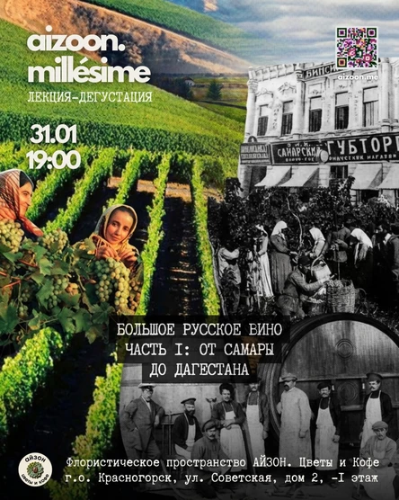 Aizoon Millésimé. Большое русское вино, часть I. От Самары до Дагестана.