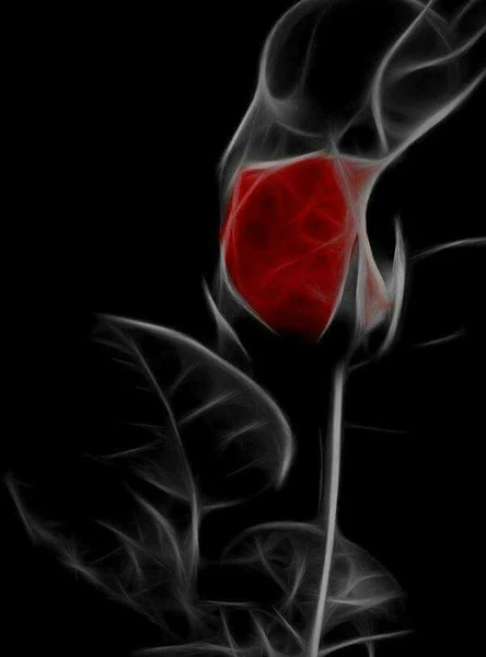 CAMPUS MINI PARTY | Предпродажа