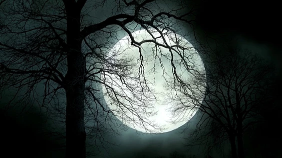 Поэтический шабаш