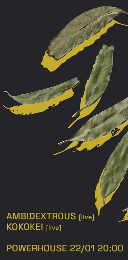 Ambidextrous + Kokokei