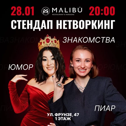 Стендап НЕТВОРКИНГ