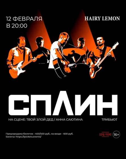 12 февраля I Трибьют гр. СПЛИН в Барнауле!