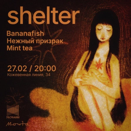 Shelter