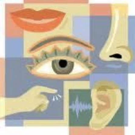 Стили обучения