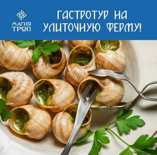 Гастротур на улиточную ферму