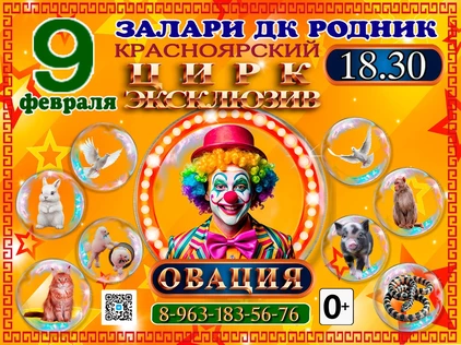 Шоу Овация г. Залари