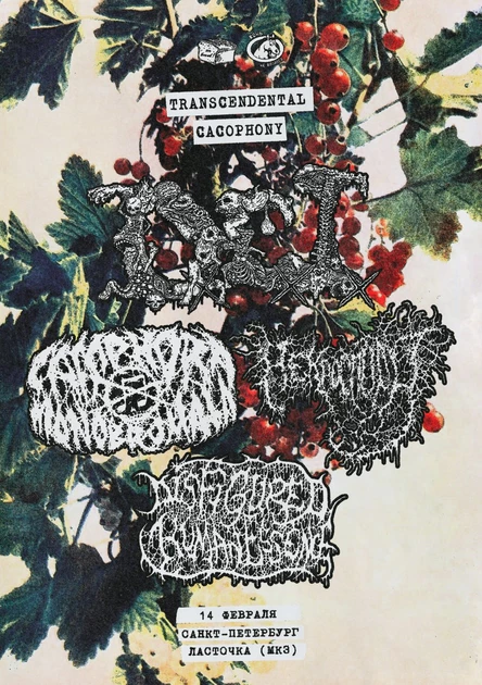 TRANSCENDENTAL CACOPHONY