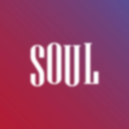 Танцевально-Акробатическое шоу «SOUL»