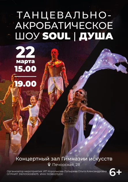 Танцевально-Акробатическое шоу «SOUL»