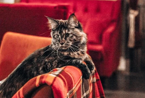 Экскурсия в Дом Гарри