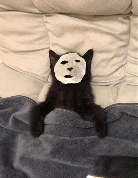 18-19 апреля КИЦА для авторов