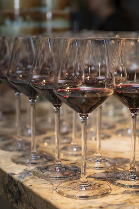 Винный клуб «Табрис». Аргентина: тур по красным