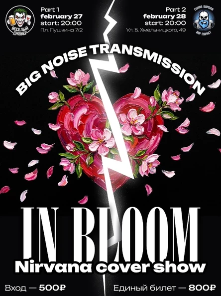 IN BLOOM Nirvana Cover Show