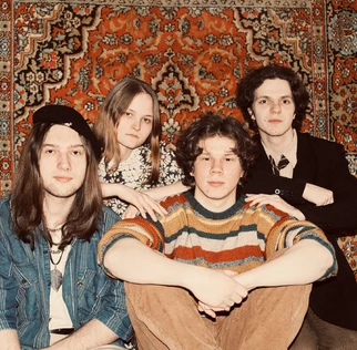 колыбель для кошки