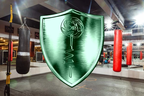 Защитники бреда