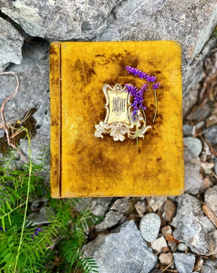 Творческая встреча , закрытый кинопоказ с GURUDE