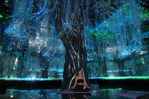 Yoga Fest | Futurione | Flexy Way