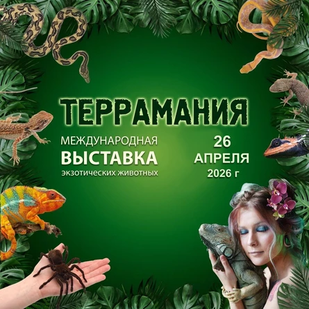 Выставка экзотических животных ТерраМания