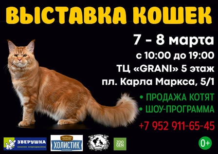 Выставка кошек