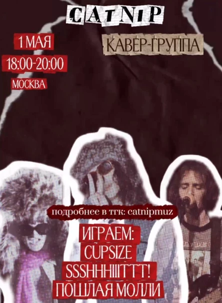 Концерт кавер - группы CATNIP (исполняем CUPSIZE,ssshhhiiittt!,pposhlaya molli)