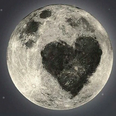 "Мой дорогой Лунатик"