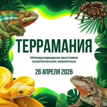 Выставка экзотических животных ТерраМания