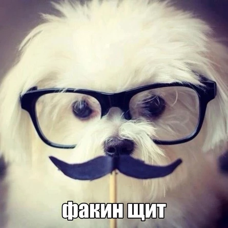 сходка воронеж