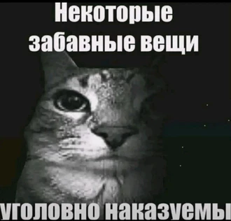 WORLD TOUR OF THE STARS