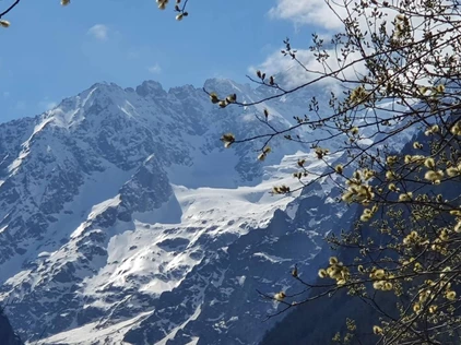 "Иристон_СПб". Юбилейный концерт.