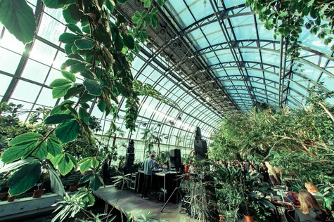 АБСТРАСЕНЦИЯ 2026: МАЙСКИЕ ДЖУНГЛИ @ Оранжерея