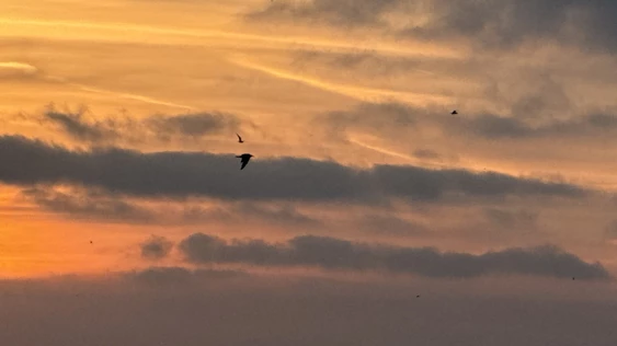 Мягкие практики телесного присутствия