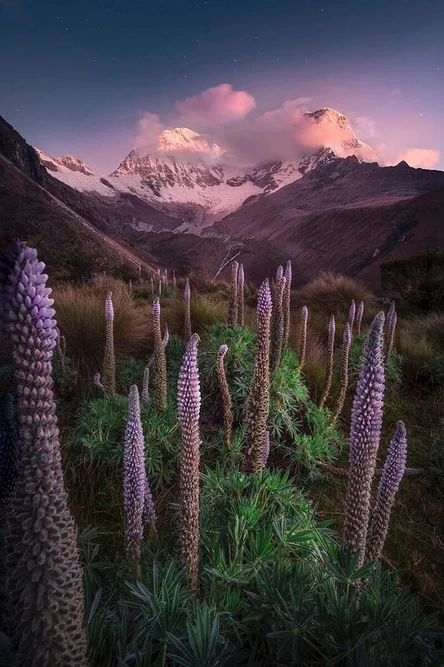 Концерт весенний