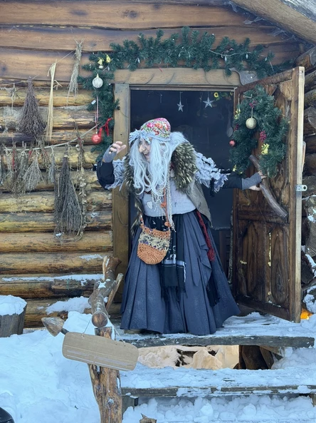 Услуга посещения парка Лес Чудес