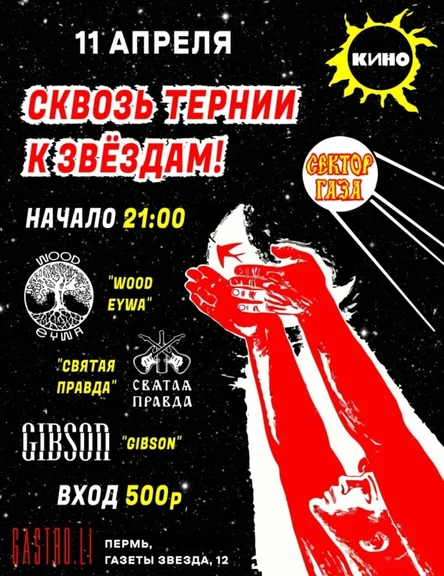 Сквозь тернии к звездам