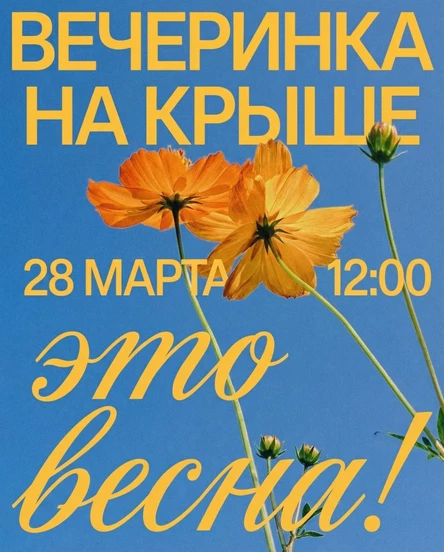 28.03 | Дневная вечеринка на крыше | 12:00