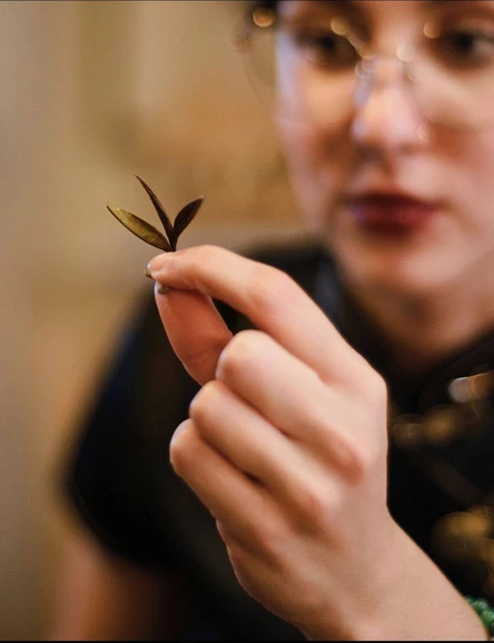 03.04 | Свежий урожай. Дегустация зеленого чая