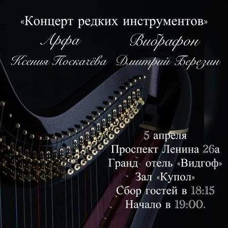 «Концерт редких инструментов»