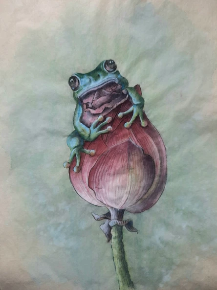 Китайская  живопись в стиле гунби - «Квакушка»