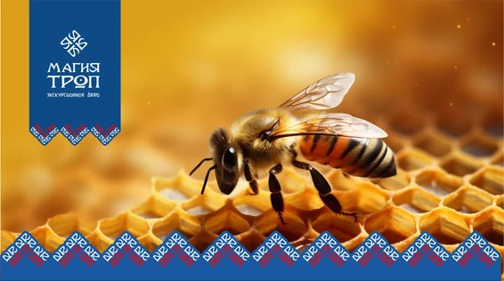 Экскурсия на пасеку " В гости к полосатым"