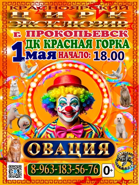 ШОУ ОВАЦИЯ г. Прокопьевск