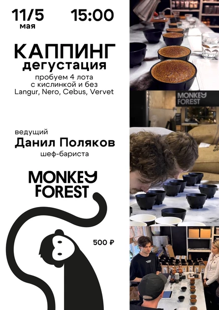 Каппинг кофе Monkey Forest: Langur, Nero, Cebus, Vervet